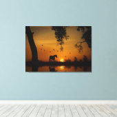 Atemberaubendes Pferdewasser und Vögel im Südweste Leinwanddruck (Insitu (Holzboden))