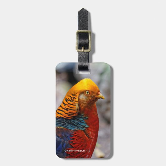 Atemberaubendes Profil eines roten Golden Pheasant Gepäckanhänger (Vorderseite vertikal)