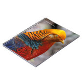 Atemberaubendes Profil eines roten Golden Pheasant Notizblock (Linke Seite)