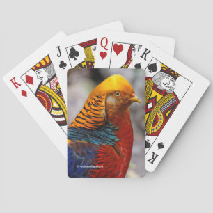 Atemberaubendes Profil eines roten Golden Pheasant Spielkarten