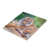Atemberaubendes Rekrutieren von Tigerfotografie Fliese (Seite)