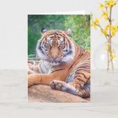 Atemberaubendes Rekrutieren von Tigerfotografie Karte (Gelbe Blume)