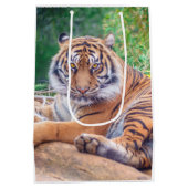Atemberaubendes Rekrutieren von Tigerfotografie Mittlere Geschenktüte (Rückseite)