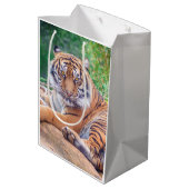 Atemberaubendes Rekrutieren von Tigerfotografie Mittlere Geschenktüte (Rückseite Schrägansicht)