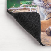 Atemberaubendes Rekrutieren von Tigerfotografie Mousepad (Ecke)