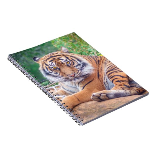 Atemberaubendes Rekrutieren von Tigerfotografie Notizblock (Rechte Seite)