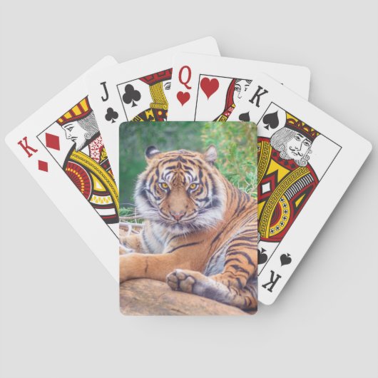 Atemberaubendes Rekrutieren von Tigerfotografie Spielkarten (Rückseite)