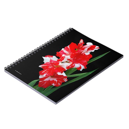 Atemberaubendes Rotes und Weiß Gladiolus Schwert L Notizblock (Linke Seite)