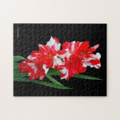 Atemberaubendes Rotes und Weiß Gladiolus Schwert L Puzzle (Horizontal)