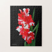 Atemberaubendes Rotes und Weiß Gladiolus Schwert L Puzzle (Vertikal)
