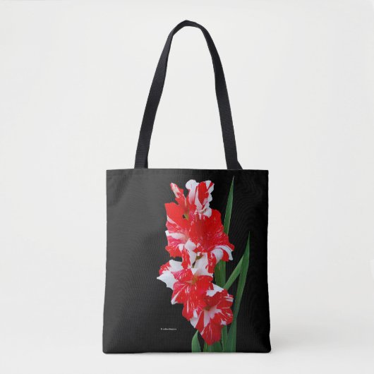 Atemberaubendes Rotes und Weiß Gladiolus Schwert L Tasche (Vorderseite)