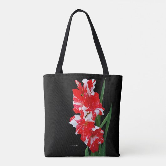 Atemberaubendes Rotes und Weiß Gladiolus Schwert L Tasche (Rückseite)