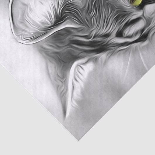 Atemberaubendes Schwarz-Weiß-Katzenkätzchen Dekoup Seidenpapier (Ausschnitt)