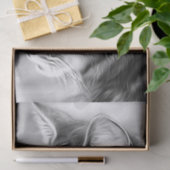 Atemberaubendes Schwarz-Weiß-Katzenkätzchen Dekoup Seidenpapier (Geschenk)