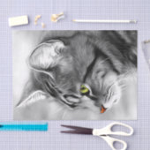 Atemberaubendes Schwarz-Weiß-Katzenkätzchen Dekoup Seidenpapier (Handwerk)