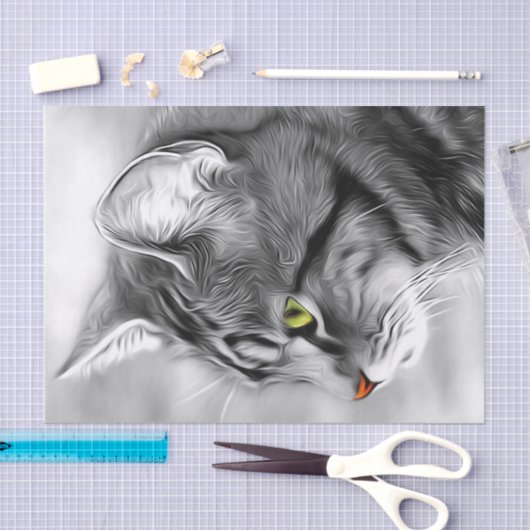 Atemberaubendes Schwarz-Weiß-Katzenkätzchen Dekoup Seidenpapier (Handwerk)