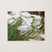 Atemberaubendes Snowdrops Puzzle (Horizontal)