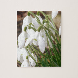Atemberaubendes Snowdrops Puzzle