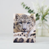 Atemberaubendes Snowleopardarportrait Postkarte (Stehend Vorderseite)
