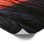 Atemberaubendes Sonnencreme Poster (Ecke)