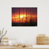 Atemberaubendes Sonnencreme Poster (Küche)