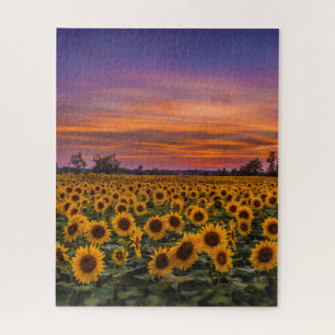 Atemberaubendes Sonnenuntergang-Puzzlespiel Puzzle