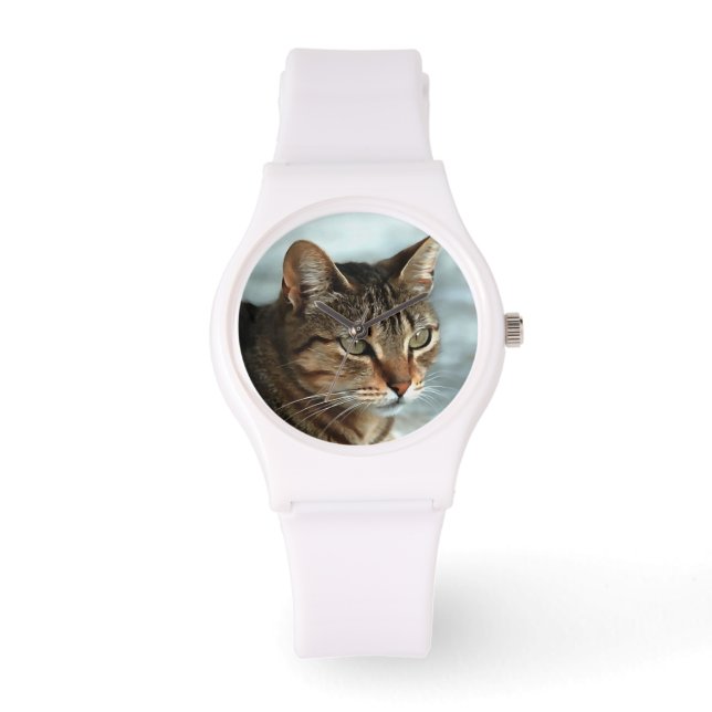 Atemberaubendes Tabby Cat Close Up Kunstportrait Armbanduhr (Vorderseite)
