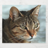 Atemberaubendes Tabby Cat Close Up Kunstportrait Bierflaschenetikett (Einzelnes Label)