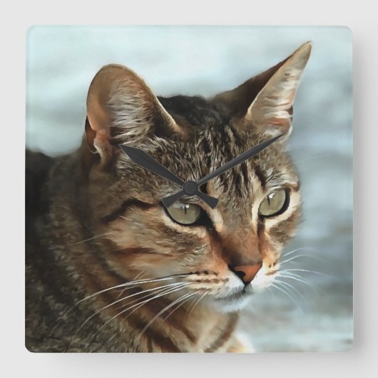 Atemberaubendes Tabby Cat Close Up Kunstportrait Quadratische Wanduhr (Vorderseite)
