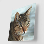Atemberaubendes Tabby Cat Close Up Kunstportrait Quadratische Wanduhr (Winkel)