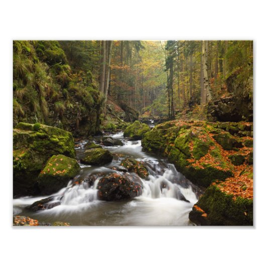 Atemberaubendes Tal des Fluss Doubrava Fotodruck (Vorne)