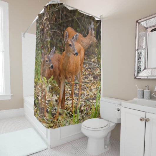 Atemberaubendes Trio des Schwarzschwanzhirsches im Duschvorhang (Beispiel)