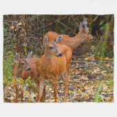 Atemberaubendes Trio des Schwarzschwanzhirsches im Fleecedecke (Vorderseite (Horizontal))