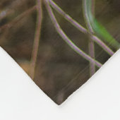 Atemberaubendes Trio des Schwarzschwanzhirsches im Fleecedecke (Ecke)