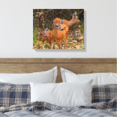 Atemberaubendes Trio des Schwarzschwanzhirsches im Leinwanddruck (Insitu (Schlafzimmer))