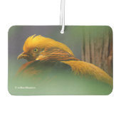 Atemberaubendes Vignettiertes Profil eines Goldene Autolufterfrischer (Rückseite)