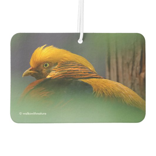 Atemberaubendes Vignettiertes Profil eines Goldene Autolufterfrischer (Rückseite)