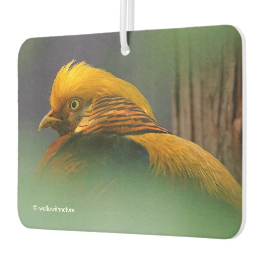 Atemberaubendes Vignettiertes Profil eines Goldene Autolufterfrischer (Links)