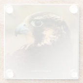 Atemberaubendes Vignettiertes Profil eines Peregri Glasuntersetzer (Rückseite)