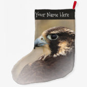 Atemberaubendes Vignettiertes Profil eines Peregri Großer Weihnachtsstrumpf (Rückseite)