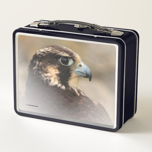 Atemberaubendes Vignettiertes Profil eines Peregri Metall Brotdose (Rückseite)