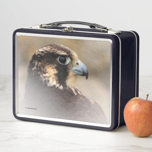 Atemberaubendes Vignettiertes Profil eines Peregri Metall Brotdose (Beispiel)