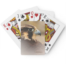 Atemberaubendes Vignettiertes Profil eines Peregri