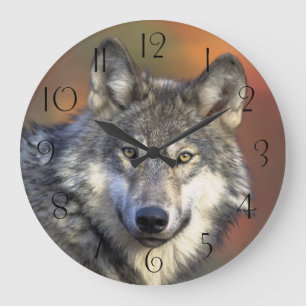 Atemberaubendes Wolfsportrait Große Wanduhr