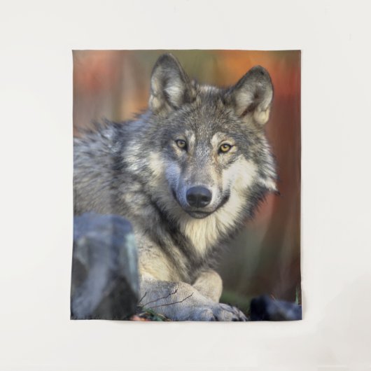 Atemberaubendes Wolfsportrait Wandteppich (Vorderseite)