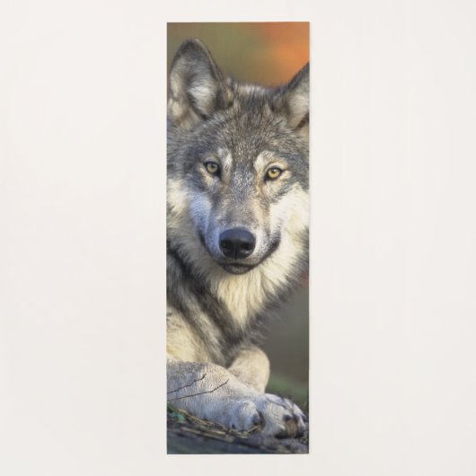 Atemberaubendes Wolfsportrait Yogamatte (Rückseite)