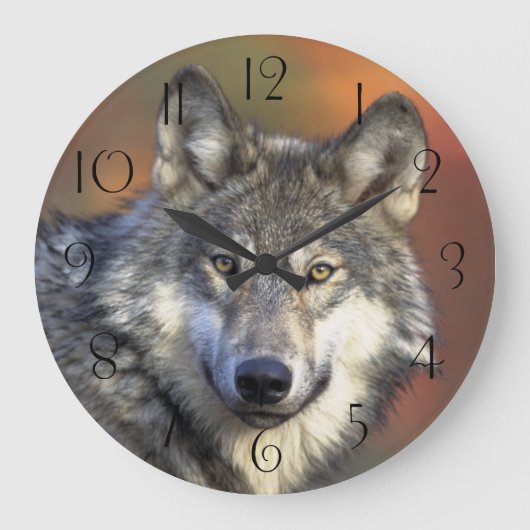Atemberaubendes Wolfsprotrait Große Wanduhr (Vorderseite)