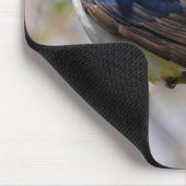 Atemberbender Singvogel Baumschwalbe auf einem Ast Mousepad (Ecke)