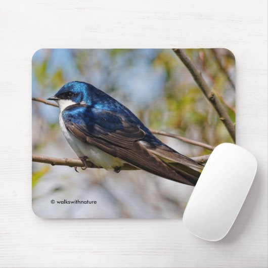 Atemberbender Singvogel Baumschwalbe auf einem Ast Mousepad (Mit Mouse)