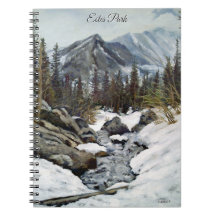 Atemberkendes Estes Park Colorado Winter Bach